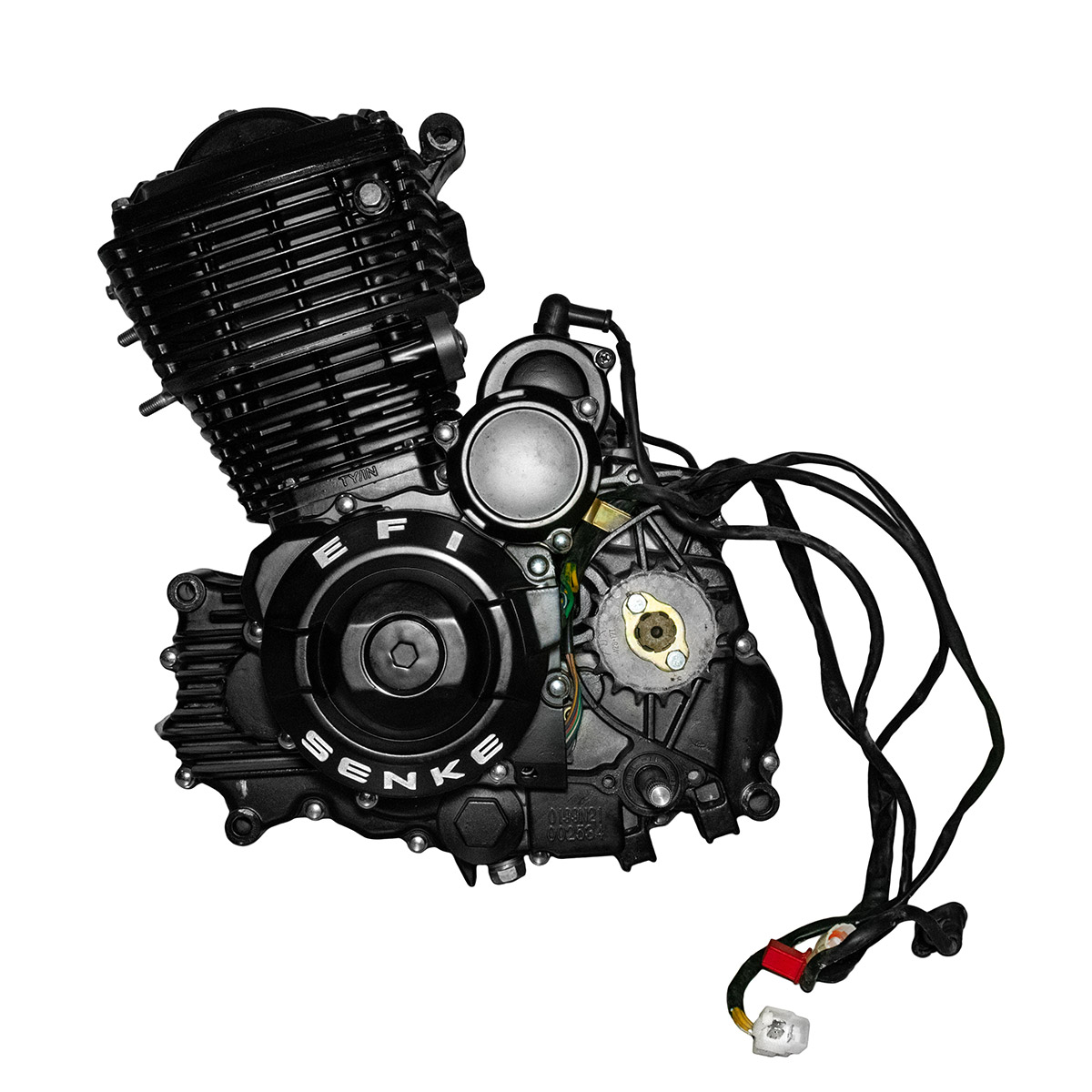 Двигатель TYNT200 EFI