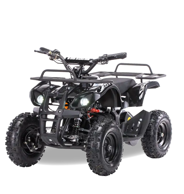 Детский квадроцикл MOTAX Mini Grizlik X-16 800W