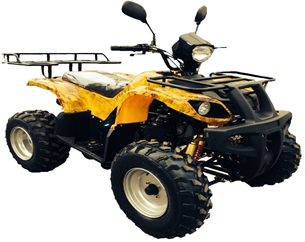 Квадроцикл Bison ATV 200 MX 10"