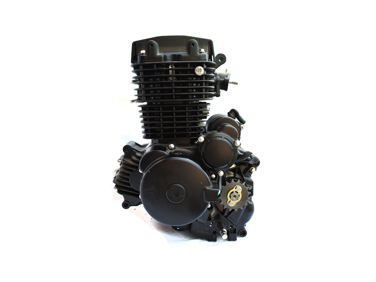Двигатель 166FMM Senke SK250 Х6