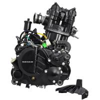 Двигатель CBS250-170FMM, T-Leopard