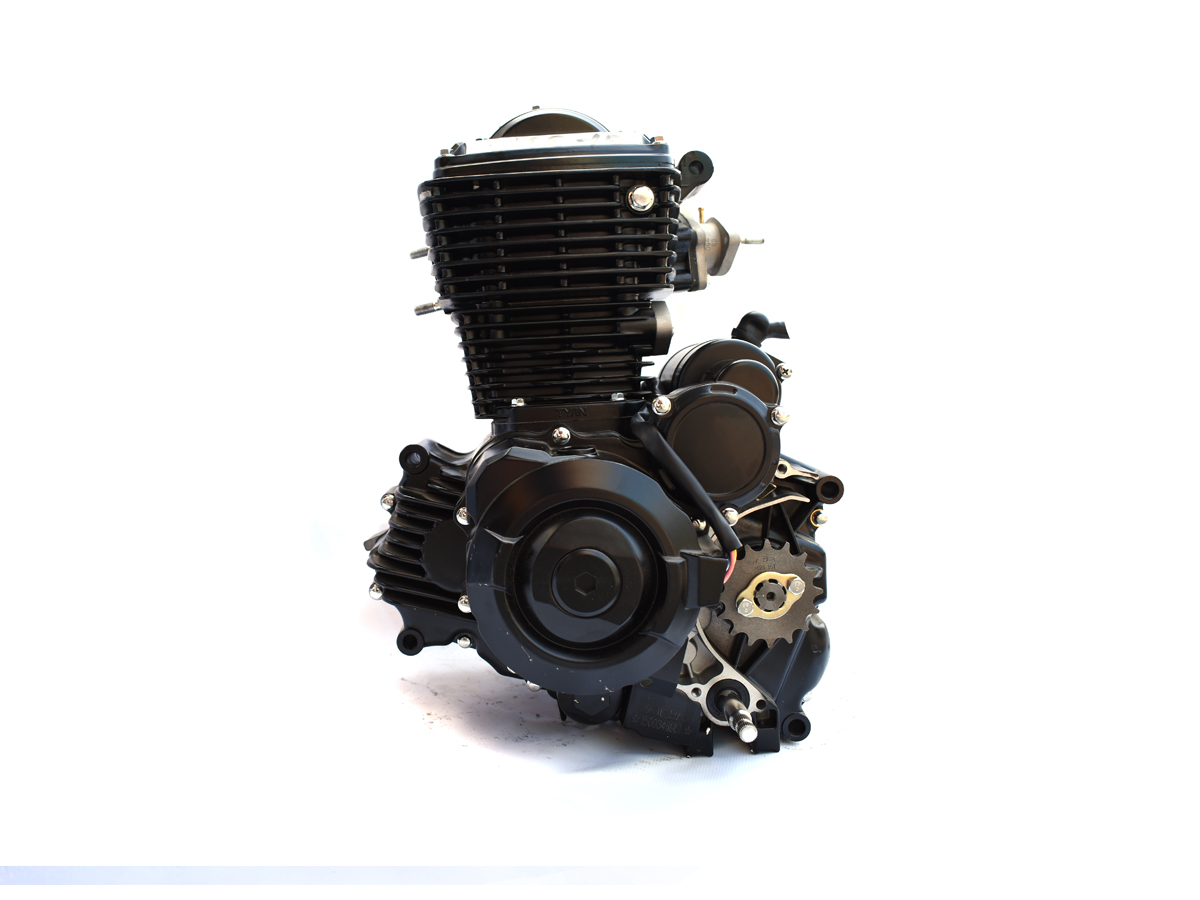 Двигатель 165FML Senke 200-10