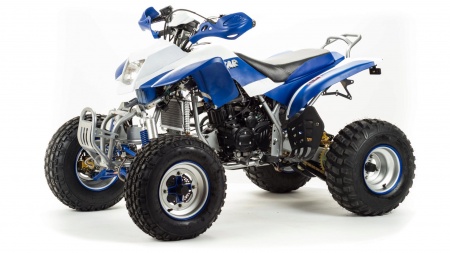 Квадроцикл Motoland ATV 250 DAKAR