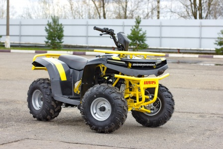 Квадроцикл IRBIS ATV125 2021