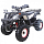 ATV200 THUNDER